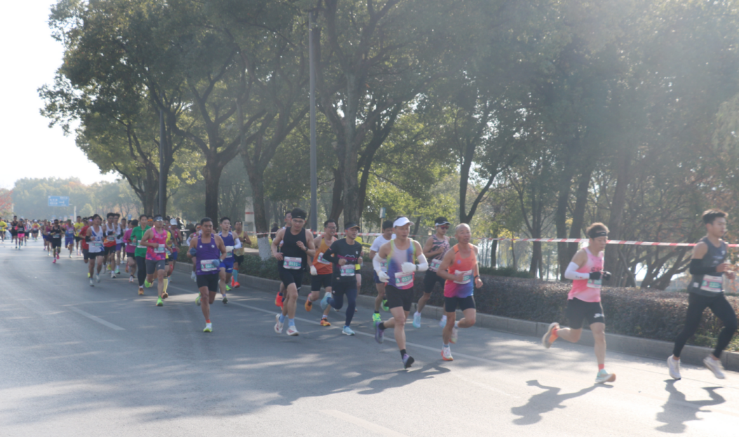 1765963501433801.png 1-01.png