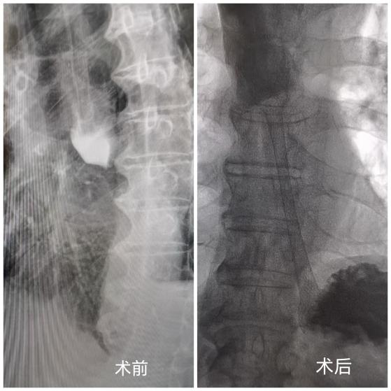 1769153662450579.png 5-02.png